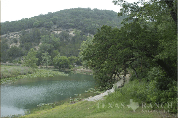 ranch 199 acres Kerr county -image