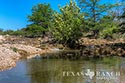 203 acre ranch Uvalde County image 15