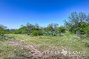 203 acre ranch Uvalde County image 5