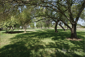  216 acre Ranch for sale image #23
