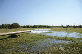  216 acre Ranch for sale image #26