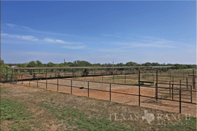  216 acre Ranch for sale image #32