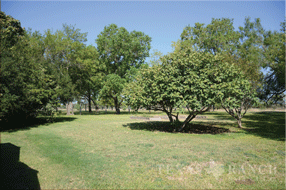  216 acre Ranch for sale image #5