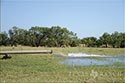 216 acre ranch Atascosa County image 24