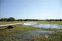 216 acre ranch Atascosa County image 26
