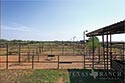 216 acre ranch Atascosa County image 31