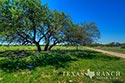 2245 acre ranch Schleicher County image 6