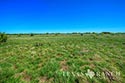 2245 acre ranch Schleicher County image 8
