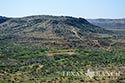 2295 acre ranch Coke County image 196