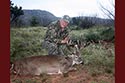 2295 acre ranch Coke County hunt image 25