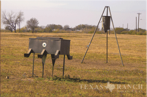 2339 acre ranch Uvalde County image 16