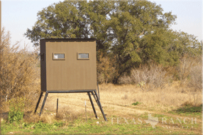 2339 acre ranch Uvalde County image 17