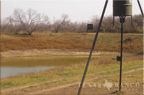 2339 acre ranch Uvalde County image 18