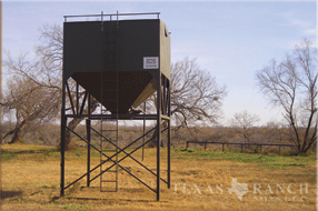2339 acre ranch Uvalde County image 19