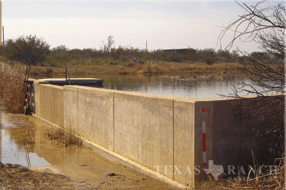 2339 acre ranch Uvalde County image 23