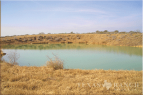 2339 acre ranch Uvalde County image 24