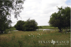ranch real estate sale, 237 acres slideshow