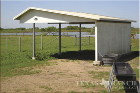 ranch real estate sale, 237 acres, image 13