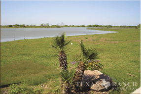 ranch real estate sale, 237 acres, image 4