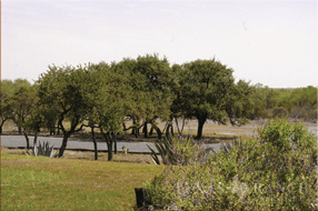  2392 acre Ranch for sale image #3