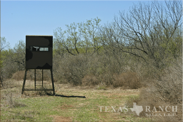 240 bandera county image 2