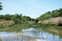 2448 acre ranch Kinney County image 17