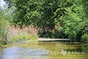 2448 acre ranch Kinney County image 19