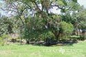 2448 acre ranch Kinney County image 21