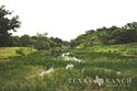 2448 acre ranch Kinney County image 22