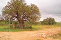 2448 acre ranch Kinney County image 23