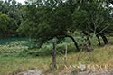 2448 acre ranch Kinney County image 5
