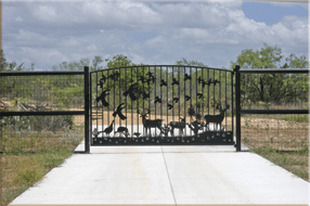 Ranches for sale in Texas, feature property