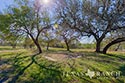 260 acre ranch Medina County image 59