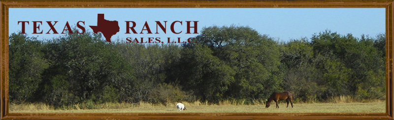 260 acres Medina County