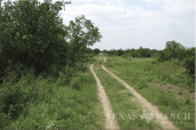 ranch 261 acres, Uvalde county - image