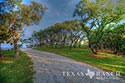 263 acre ranch Bandera County image 37