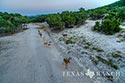 263 acre ranch Bandera County image 48