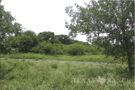 south Texas hunting ranch 2560 acres duval county image 2