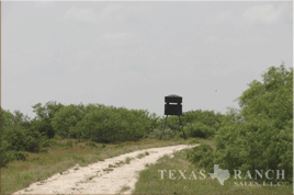 south Texas hunting ranch 2560 acres duval county image 3