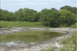 south Texas hunting ranch 2560 acres duval county image 4