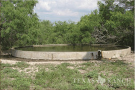 south Texas hunting ranch 2560 acres duval county image 6