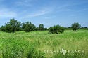 278 acre ranch Medina County image 27