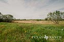 278 acre ranch Medina County image 28
