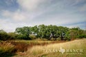 278 acre ranch Medina County image 35