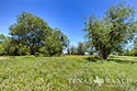 278 acre ranch Medina County image B10