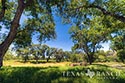 278 acre ranch Medina County image B14
