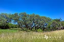 278 acre ranch Medina County image B15