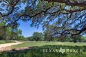 278 acre ranch Medina County image B18