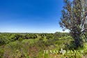 278 acre ranch Medina County image B19