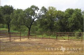 hunting ranch 27 acres, Medina county image